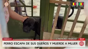 Chiclayo: Perro ataca a mujer en el rostro en plena calle de Ferreñafe. Foto y video: América Noticias