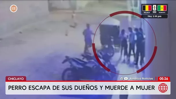 Chiclayo: Perro ataca a mujer en el rostro en plena calle de Ferreñafe. Foto: América Noticias Chiclayo: Perro ataca a mujer en el rostro en plena calle de Ferreñafe. Foto: América Noticias