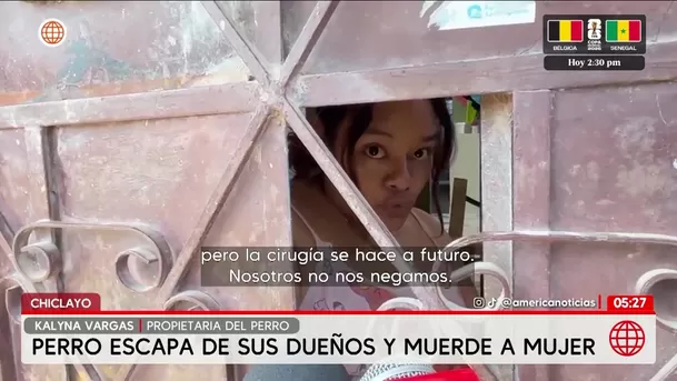 Chiclayo: Perro ataca a mujer en el rostro en plena calle de Ferreñafe. Foto: América Noticias Chiclayo: Perro ataca a mujer en el rostro en plena calle de Ferreñafe. Foto: América Noticias