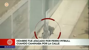 Perro atacó a hombre cuando caminaba por la calle. Foto y video: América Noticias 