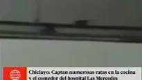 Ratas en hospital de Chiclayo. América Noticias