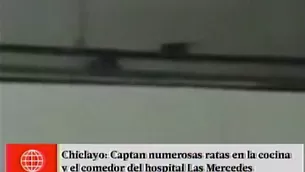 Ratas en hospital de Chiclayo. América Noticias