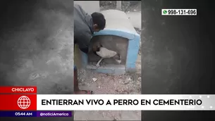 Entierran vivo a perro en Chiclayo. Foto y video: América Noticias