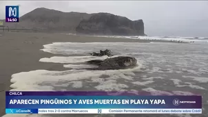 Foto y video: Canal N