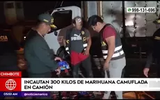 Chimbote: Incautan 300 kilos de marihuana camuflada en camión - Noticias de autopartes