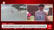 Chorrillos: Denuncian que mataron a perros con balines