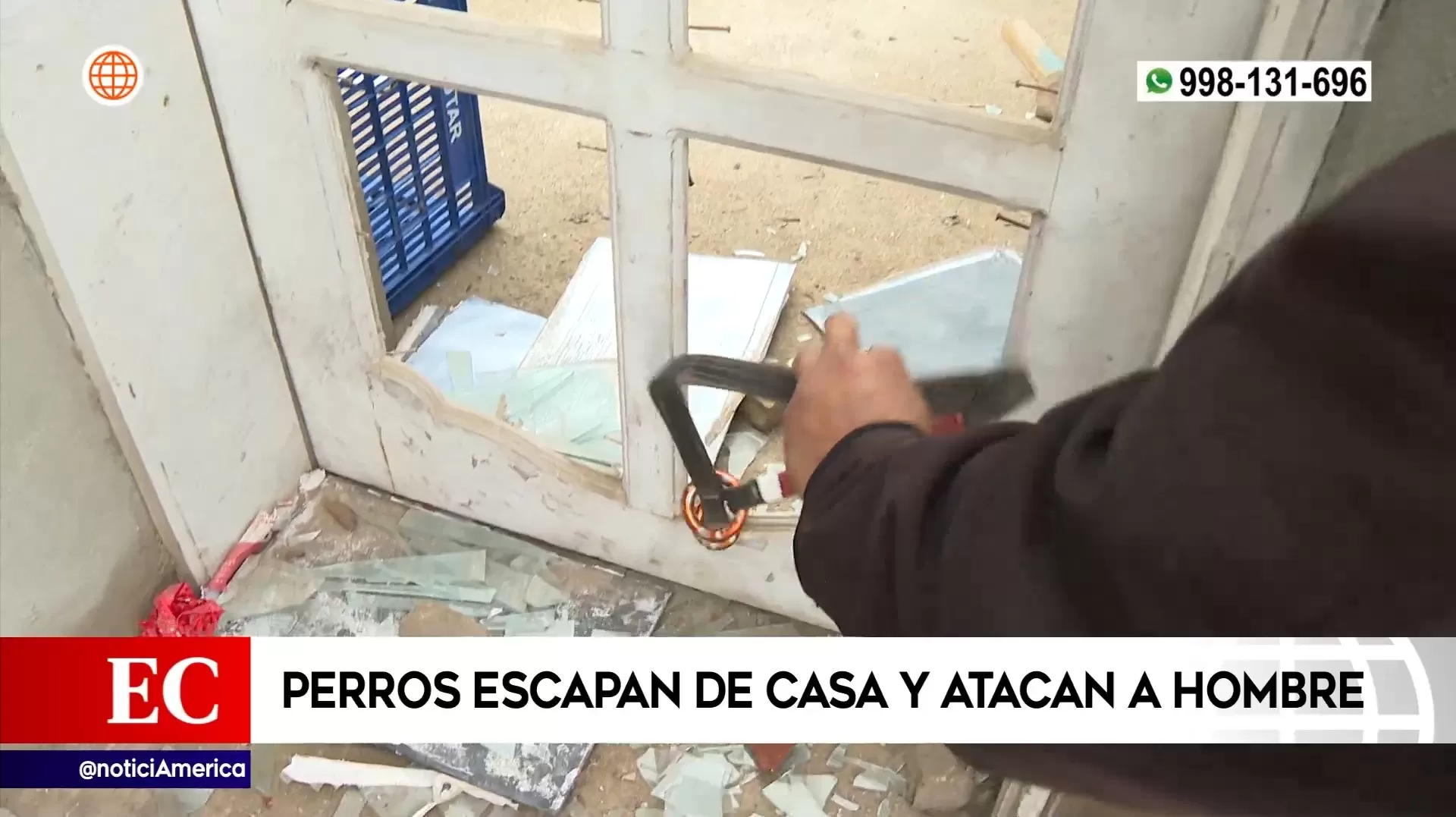 Perros escaparon por esa ventana rota | Imagen: América Noticias