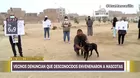 Chorrillos: Vecinos denuncian que desconocidos envenenaron a sus mascotas 