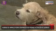 Chosica: Albergue y más de 80 casas en riesgo por huaicos