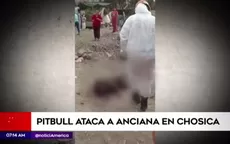 Chosica: Anciana fue atacada por perro pitbull - Noticias de perro