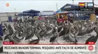 Cientos de pelícanos en Trujillo invaden terminal pesquero para conseguir alimento