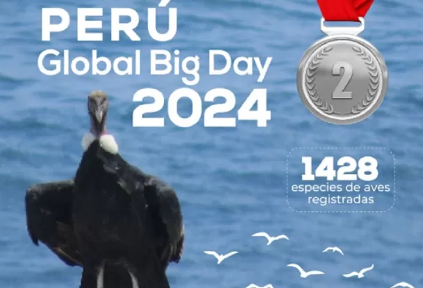 Noticias positivas de la semana. Foto: Andina Noticias positivas de la semana. Foto: Andina