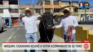 Un ciudadano acudió a votar con un toro en Arequipa