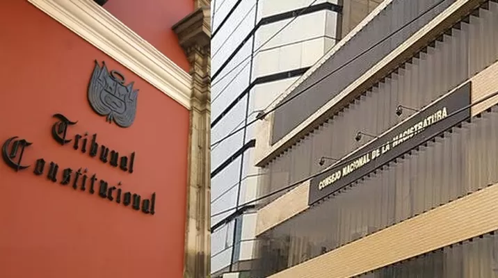 Diez claves para entender las discrepancias entre el CNM y el TC Diez claves para entender las discrepancias entre el CNM y el TC
