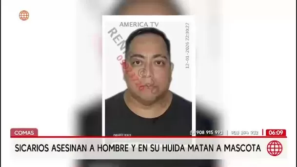 Sicarios asesinan a comerciante y matan a perro que les ladró en Comas/ América Noticias Sicarios asesinan a comerciante y matan a perro que les ladró en Comas/ América Noticias