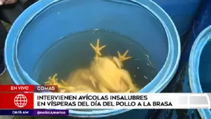 Ocurrió en Comas. Foto: América TV