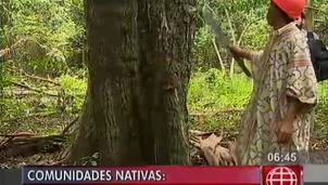 América Verde. América Noticias