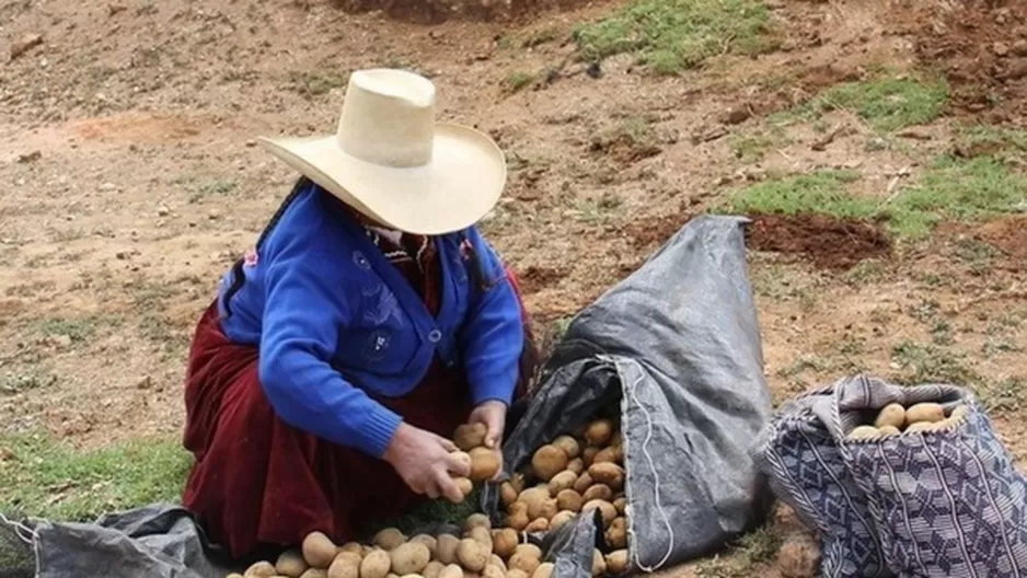 La pobreza disminuyó en el Perú. Foto: Andina