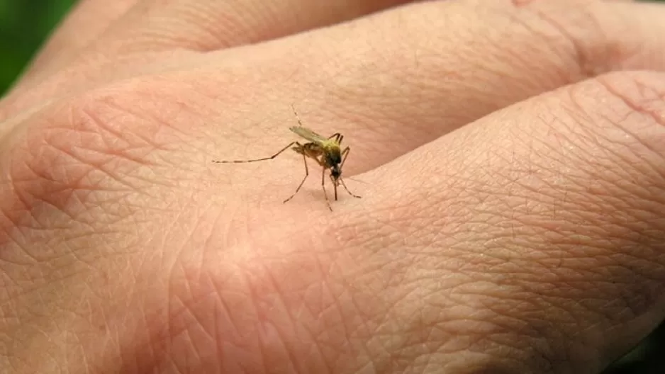 Confirman sexto caso importado de fiebre Chikungunya en Perú