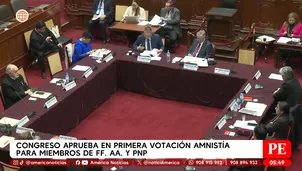 Congreso aprueba en primera votación amnistía para miembros de la FF. AA. y PNP. Foto y video: América Noticias