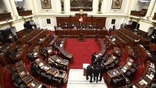 Congreso. / Video: Canal N