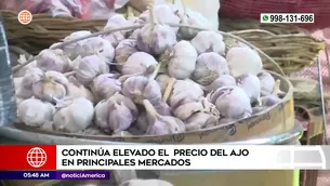 Continúa elevado el precio del ajo en principales mercados. Foto y video: América Noticias