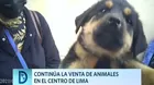 Continúa la venta de animales en el Centro de Lima