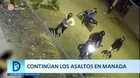 Continúan los asaltos en manada