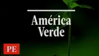 América Verde