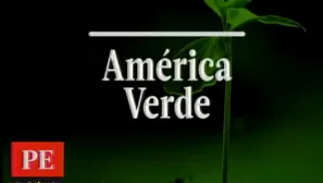 América Verde