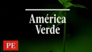 América Verde