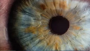 Cornea artificial logra devolver la vista a personas invidentes. Foto: ABC Salud