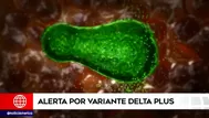 Coronavirus: Conoce las características de la variante Delta plus