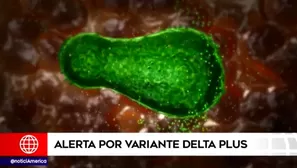 Esta mutación pertenece al sub linaje de la variante Delta. Foto: América Noticias