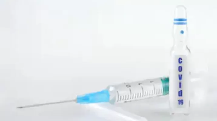Coronavirus: Laboratorio peruano comienza a probar en alpacas una vacuna para el COVID-19. Foto: Shutterstock referencial Coronavirus: Laboratorio peruano comienza a probar en alpacas una vacuna para el COVID-19. Foto: Shutterstock referencial