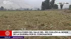 COVID-19: Agricultores del valle del río Chillón al borde de la quiebra