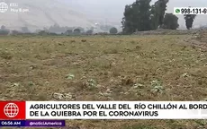 COVID-19: Agricultores del valle del río Chillón al borde de la quiebra - Noticias de rio-chillon