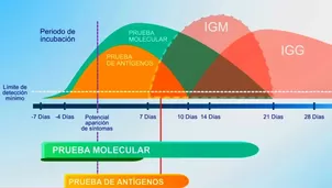 Especialistas señalan que la prueba de antígeno "no es tan traumática como un hisopado nasofaríngeo". Foto y video: América Noticias