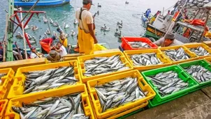 El abastecimiento se dio en el marco de la primera semana de cuarentena. Foto: Produce