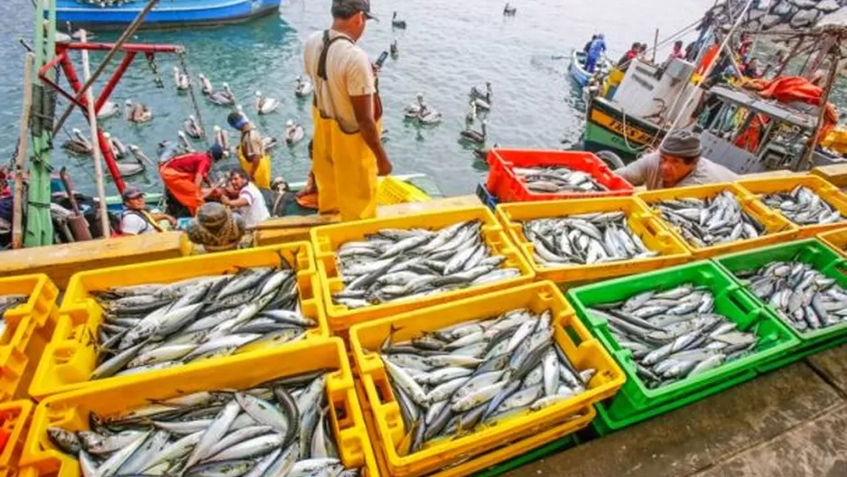 El abastecimiento se dio en el marco de la primera semana de cuarentena. Foto: Produce