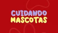 Cuidando Mascotas con Mary Gálvez: ¿Qué hacer ante el golpe de calor?