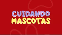 Cada semana te traeremos tips para el mejor cuidado de tus mascotas