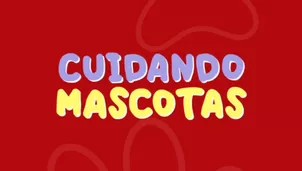 Cada semana te traeremos tips para el mejor cuidado de tus mascotas