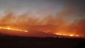 Incendios forestales en Cusco dejaron cinco fallecidos en la primera semana de octubre. El gobernador Werner Salcedo reportó tres incendios activos y 8.000 hectáreas afectadas en lo que va del año. Video: Canal N