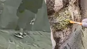 Foto y video: América Noticias