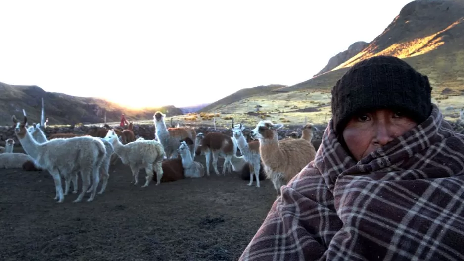 Declararon el estado de emergencia en varias provincias de Puno por la intensa nevada