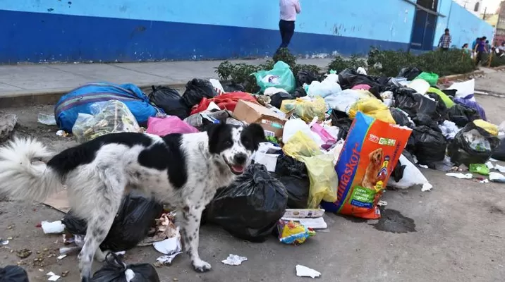 Basura acumulada en la calle. Foto: Andina Basura acumulada en la calle. Foto: Andina
