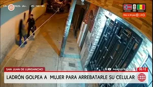 Delincuente golpea a mujer para robarle celular en San Juan de Lurigancho. Foto y video: América Noticias