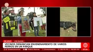 Denuncian envenenamiento de perros en parque de Los Olivos