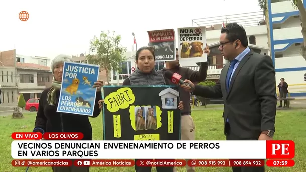 Denuncian envenenamiento de perros en parque de Los Olivos. Foto: América Noticias Denuncian envenenamiento de perros en parque de Los Olivos. Foto: América Noticias